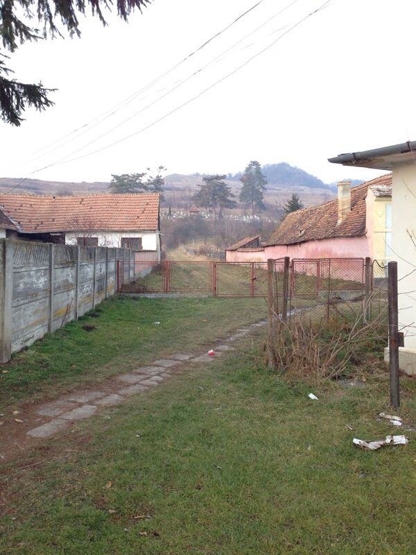 Image 19 of 37  -  99 kB